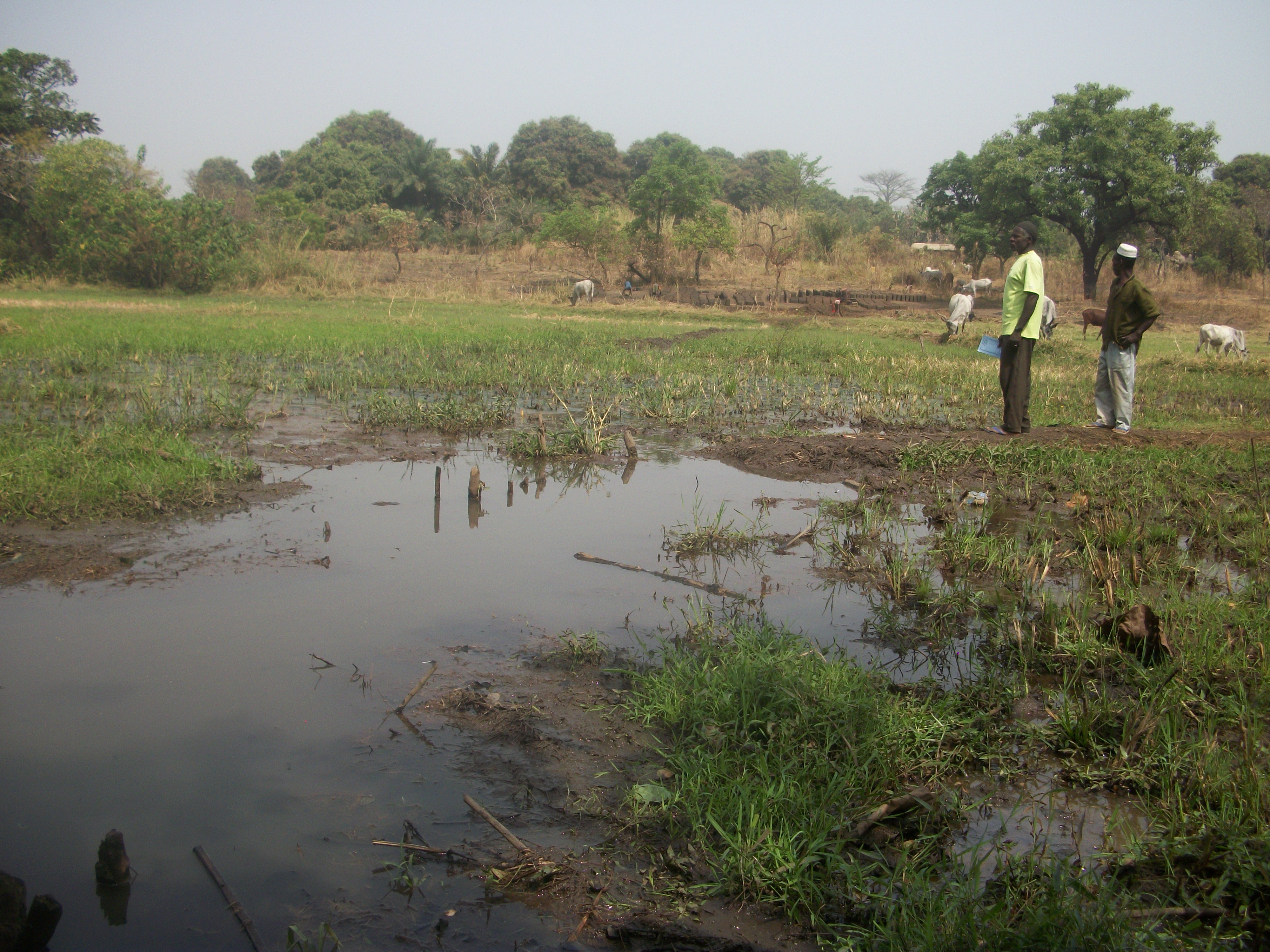 South Sudan: Starvation Stalks Counties Cut Off by Floods, Insecurity