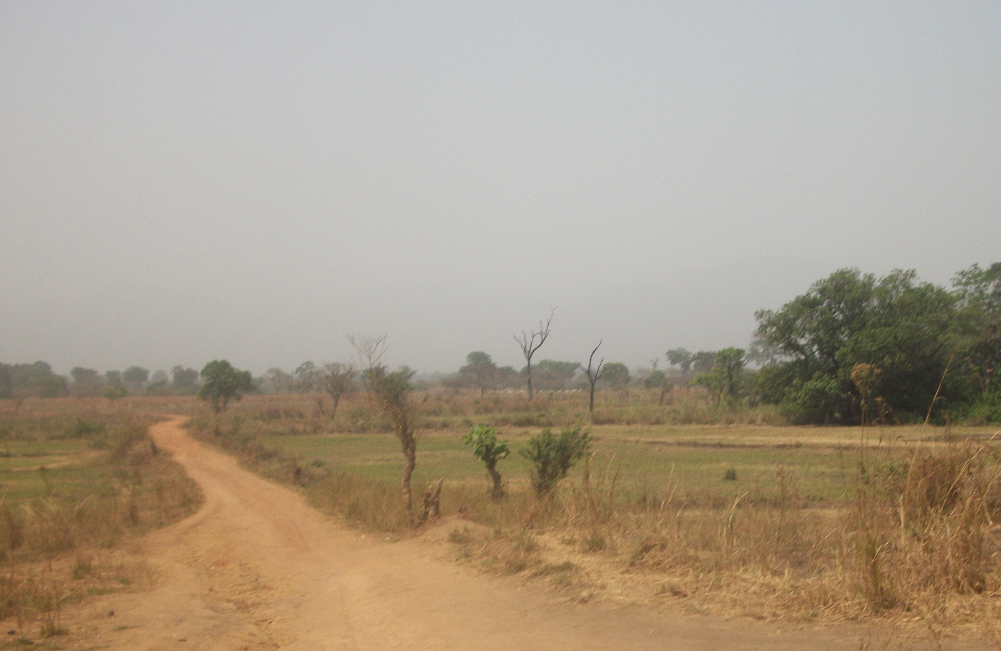 Cameroon: Surviving the Heat Wave in Douala

